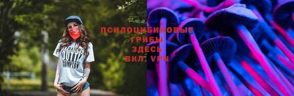 молекула духа Армянск
