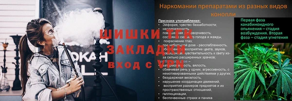 spice Аркадак