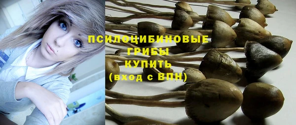 молекула духа Армянск
