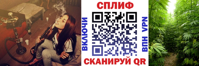 Шишки марихуана марихуана  Мыски 